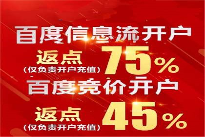 某公司通过百度SEM竞价推广实现快速市场扩张的秘诀